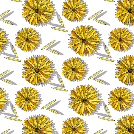 Cute colorful astra flowers seamless pattern on white background for fabric, textile, texture, wrapping paper, wallpaper, cards, web design. Hand drawn illustrationのイラスト素材