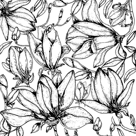 Doodle floral magnolia background in vector with doodles black and white coloring page. Vector ethnic pattern can be used for wallpaper, pattern fills, coloring books and pages for kids and adults.のイラスト素材