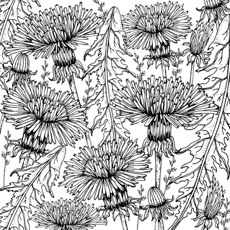 Doodle floral dandelion background in vector with doodles black and white coloring page. Vector ethnic pattern can be used for wallpaper, pattern fills, coloring books and pages for kids and adults.のイラスト素材