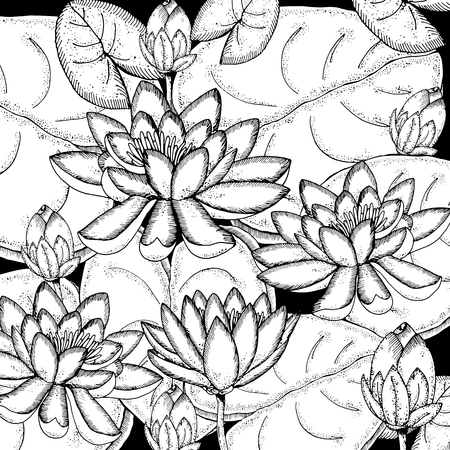 Doodle floral background in vector with doodles black and white coloring page of water lily. Vector ethnic pattern can be used for wallpaper, pattern fills, coloring books and pages for kids and adults.の写真素材