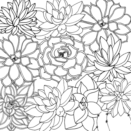 Doodle floral background in vector with doodles black and white coloring page of succulents. Vector ethnic pattern can be used for wallpaper, pattern fills, coloring books and pages for kids and adults.のイラスト素材