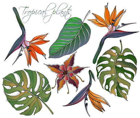 Doodle floral tropical set vector with doodles colorful plants. Bright paradise flowers with green banana leaves, tropical leaves. Vector ethnic set can be used for wallpaper, pattern fills, texture, textile, fabric and pages for kids and adults.のイラスト素材