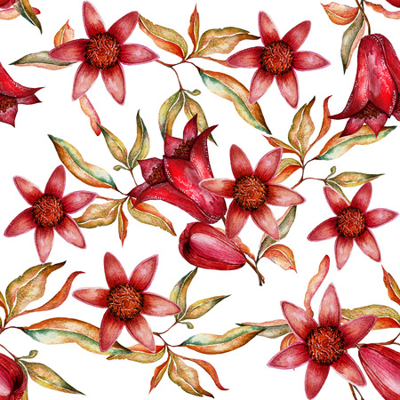 Beautiful watercolor seamless pattern with fruits and flowers of pomegranateの写真素材