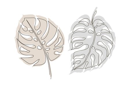 Exotic monstera continuous one line drawing summer tropical leaf hand drawn on white background minimalist design. Monstera leaf Minimal Line Style. Continuous One Line drawing Abstract Vector Tropical Palm Isolated on a White Background. Two leaves on bright spotsのイラスト素材