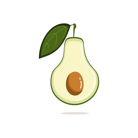 Vector icon of avocado and cut avocado halfのイラスト素材