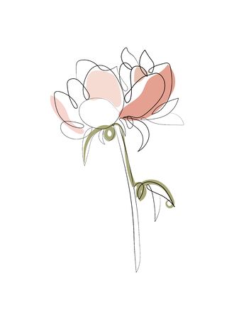Bouquet of peony in one line continuous art drawing style. Vector illustrationのイラスト素材