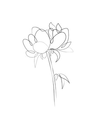 Bouquet of peony in one line continuous art drawing style. Vector illustrationのイラスト素材