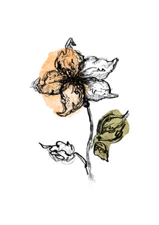 Black and white handdrawn image of flower.の写真素材