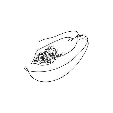 Black Continuous one line drawing. Papaya Exotic Fruit. Vector illustration. Minimal abstract art. Black linear art on white backgroundのイラスト素材