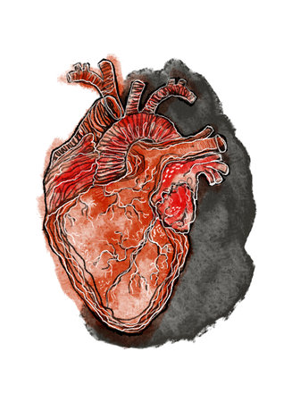 Abstract modern bright anatomical heart. Isolated organ watercolor art poster. Extraordinary abstract arrangementsの写真素材