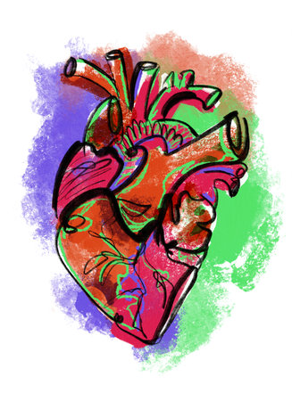 Abstract modern bright anatomical heart. Isolated organ  art poster. Extraordinary abstract arrangementsの写真素材