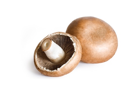 Fresh champignons, brown version, isolated on white background.の写真素材