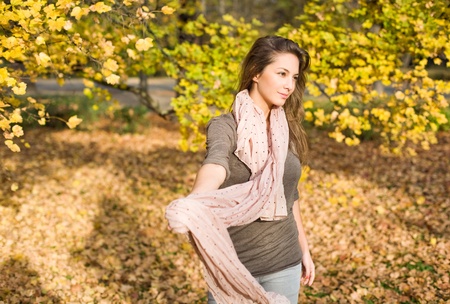 Gorgeous brunette posing in the park at fall.の写真素材