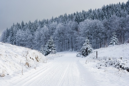 Beautiful snow covered natural winter landscape with road and forest.の写真素材