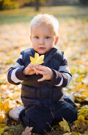 Portrait od a cute young boy outdoors in nature at fall.の写真素材