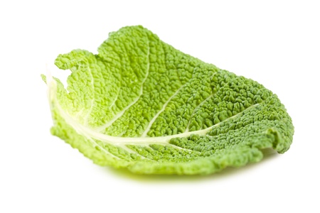 Studio shot of fresh ripe  cabbage isolated on white background の写真素材