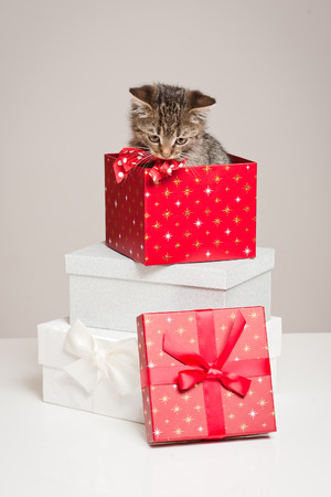 Shot of playful little kitten with decorative Christmas gift boxes.の写真素材