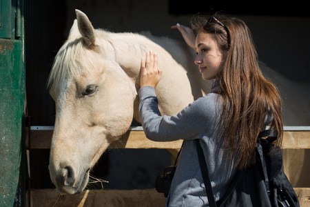 Beautiful young brunette woman befriending champagne color horse.の写真素材