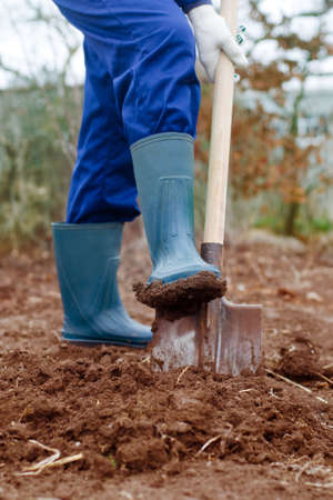 Close up of a diggingの写真素材