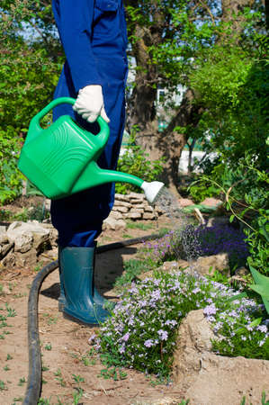 Gardener watering flowersの写真素材