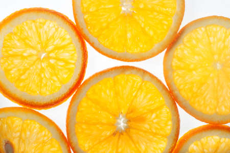 Citrus slices with back lightの写真素材