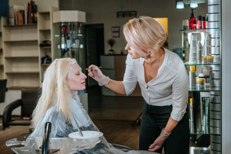 Professional hairdresser dyeing hair of female clientの写真素材