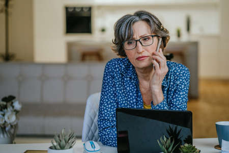 Mature woman talking on a cellphone using a laptop