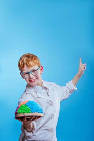 Schoolboy wearing eyeglasses and protective gown holding brain model pinting up on blue background with blank space for textの写真素材