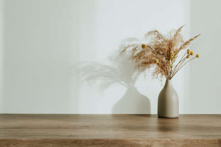 Dried flowers pampas grass in the ceramic vase on the wooden table with blank space for text. Detail of cozy minimalictic home interior. Shadows on the wall at sunny day.の写真素材