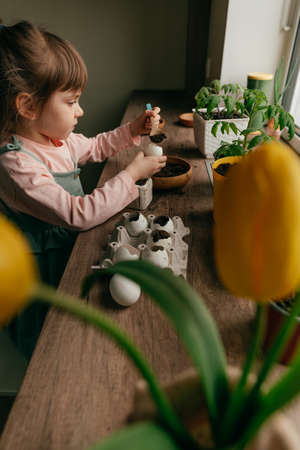 Little girl putting the soil in a eggshell for planting seeds. Home gardening with kids. selective...