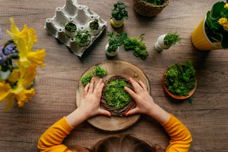 Top view of little girl decorating nest with green moss on the table at home. Creative DIY idea for festive Easter decor with grass sprouts in the eggshells. selective focus.の写真素材