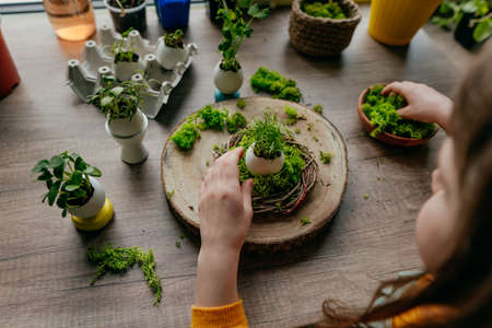 Little girl decorating nest with green moss for eggshell with grass sprouts in it on the wooden table at home. Creative DIY idea for festive Easter decoration. selective focus.の写真素材