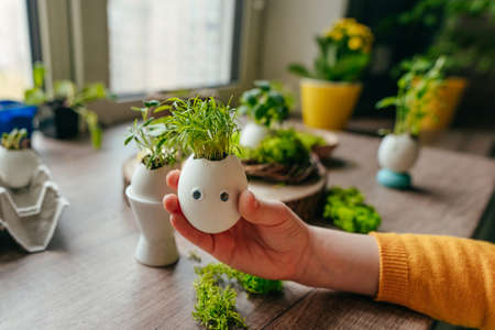Funny face on eggshell with carrot sprouts with toy stickers eyes. Creative fun DIY idea for festive Easter decoration. selective focus.の写真素材