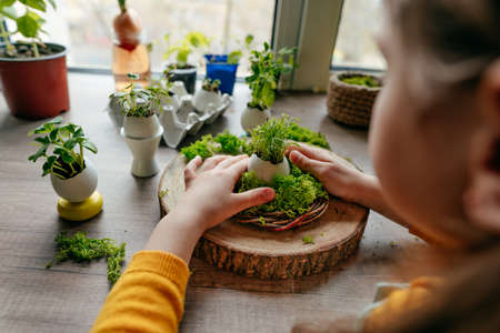 Little girl decorating nest with green moss for eggshell with grass sprouts in it on the wooden table at home. Creative DIY idea for festive Easter decoration. selective focus.の写真素材