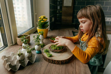 Little girl decorating nest with green moss on the table at home. Creative DIY idea for festive Easter decoration with grass sprouts in the eggshells. selective focus.の写真素材