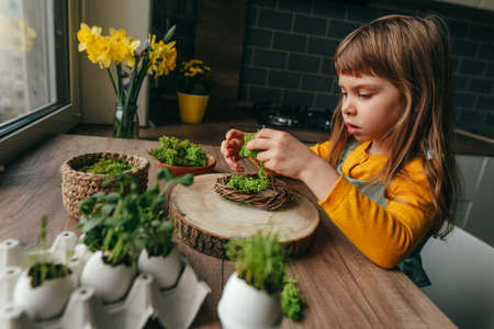 Little girl decorating nest with green moss on the table at home. Creative DIY idea for festive Easter decor with grass sprouts in the eggshells. selective focus.の写真素材