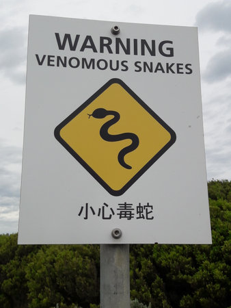 Venomous snakes warning road sign. Port Campbell national park, Australia.のeditorial素材