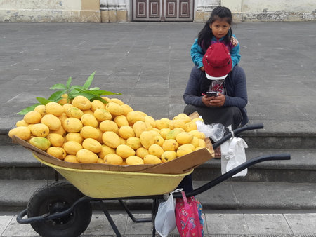 Street vendors selling fresh ripe mangos at local market. Cuenca / Ecuador.のeditorial素材