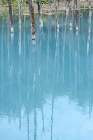 The gblue pondh of the famous tourist resort in Biei, Hokkaido, Japan.の写真素材