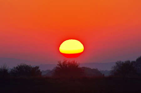 Sunset over the treesの写真素材