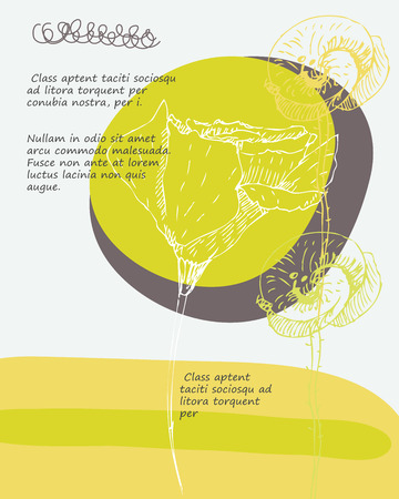 Summer template set. Colored patterns with hand drawn flowers for  posters, greeting cards, flyers and banner, web designs. Anniversary, holiday, wedding, business, birthday, party invitations.のイラスト素材