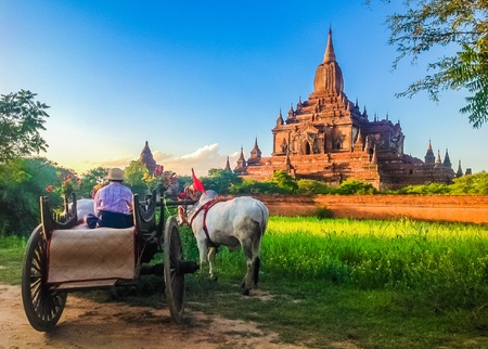Bullock cart and pagoda, Myanmarの素材