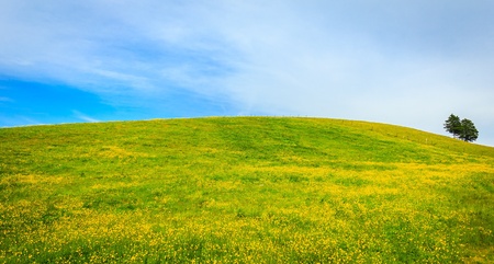 Beautiful spring landscape, nature の素材