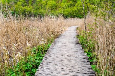 Wooden walkway at Plitvice lakes, national park, Croatiaの素材
