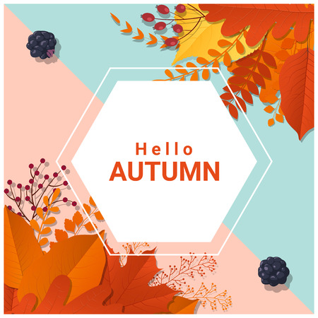 Hello autumn with colorful leaves and fruits background , vector , illustrationのイラスト素材