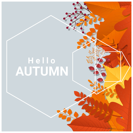 Hello autumn with colorful leaves and fruits background , vector , illustrationのイラスト素材
