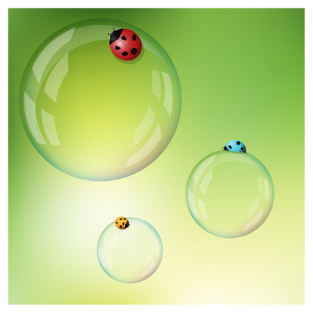 Colorful ladybugs on soap bubbles vector illustrationのイラスト素材