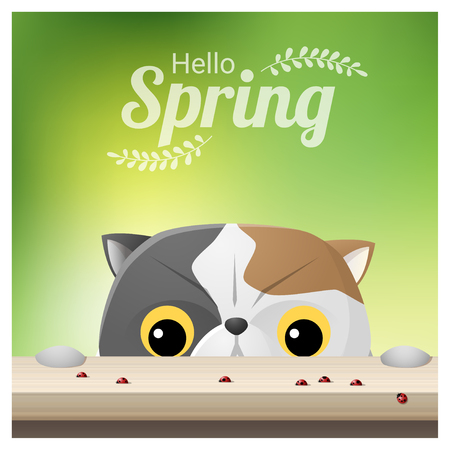 Hello Spring season background with a cat looking at ladybugs vector illustration.のイラスト素材