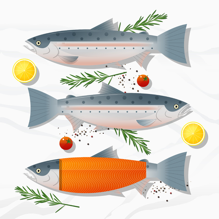 Set of fresh raw salmon fish and spices isolated on marble stone background. Vector illustrationのイラスト素材