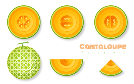 Set of cantaloupe melons in paper art style. Vector illustrationのイラスト素材